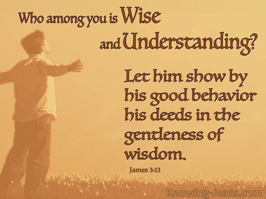 James 3:13 Who Is Wise And Understanding (orange)